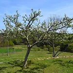 Сasa de vacaciones Lage's House Serra D'arga Caminha Ponte De Lima Arga de Cima
