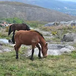 Lage's House Serra D'arga Caminha Ponte De Lima * Arga de Cima
