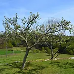 Lage's House Serra D'arga Caminha Ponte De Lima Сasa de vacaciones Arga de Cima