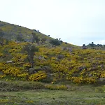 Lage's House Serra D'arga Caminha Ponte De Lima Arga de Cima