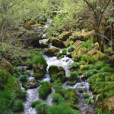 Lage's House Serra D'arga Caminha Ponte De Lima بيت للعطل Arga de Cima