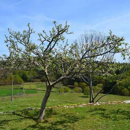 Lage's House Serra D'arga Caminha Ponte De Lima بيت للعطل Arga de Cima