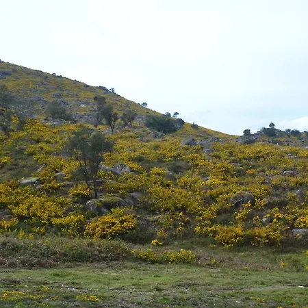 Lage's House Serra D'arga Caminha Ponte De Lima Arga de Cima